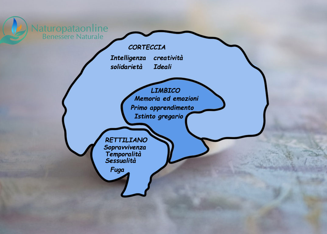 IL RAPPORTO TRA CORPO E MONDO - GLI STATI GENERALI